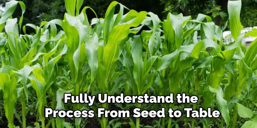 Fully Understand the 
Process From Seed to Table