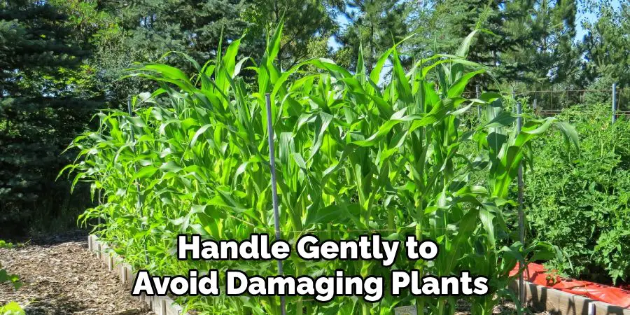Handle Gently to
 Avoid Damaging Plants