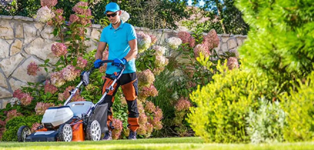 How to Remove Brush from Yard