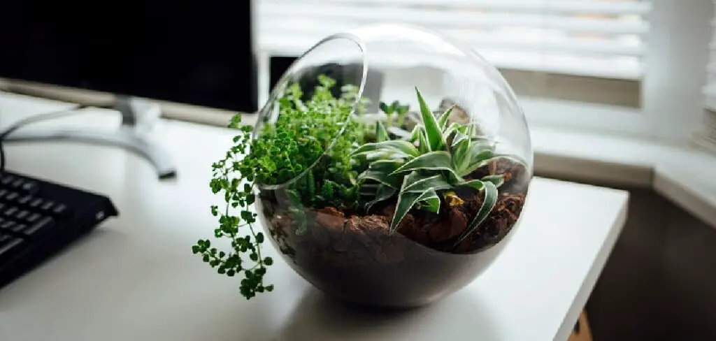 How to Remove Sod and Replant