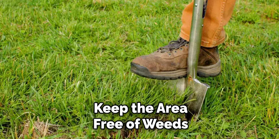 Keep the Area
Free of Weeds