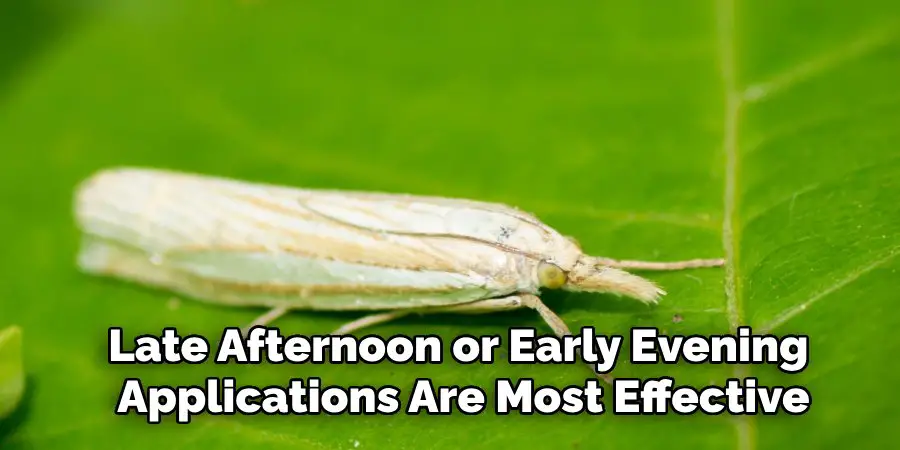 Late Afternoon or Early Evening 
Applications Are Most Effective