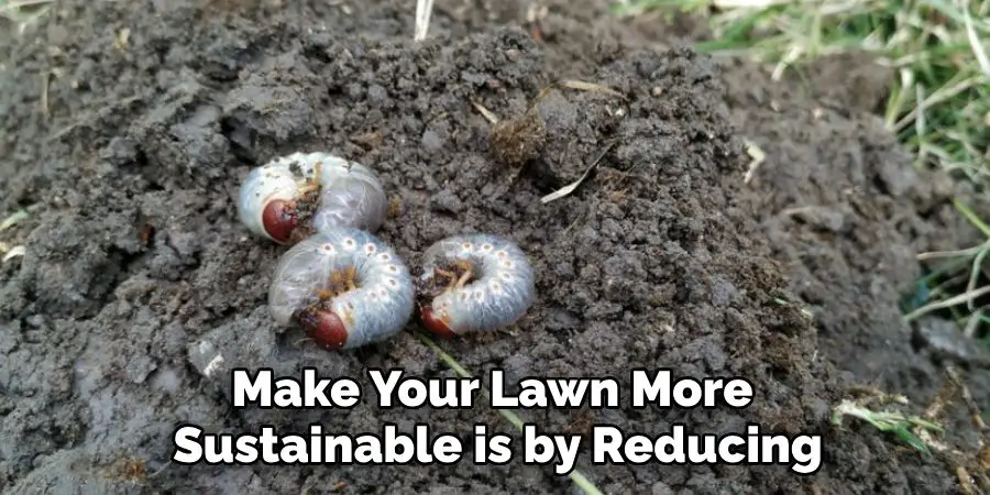 Make Your Lawn More
 Sustainable is by Reducing