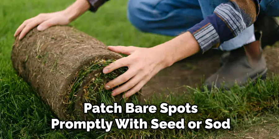 Patch Bare Spots
Promptly With Seed or Sod