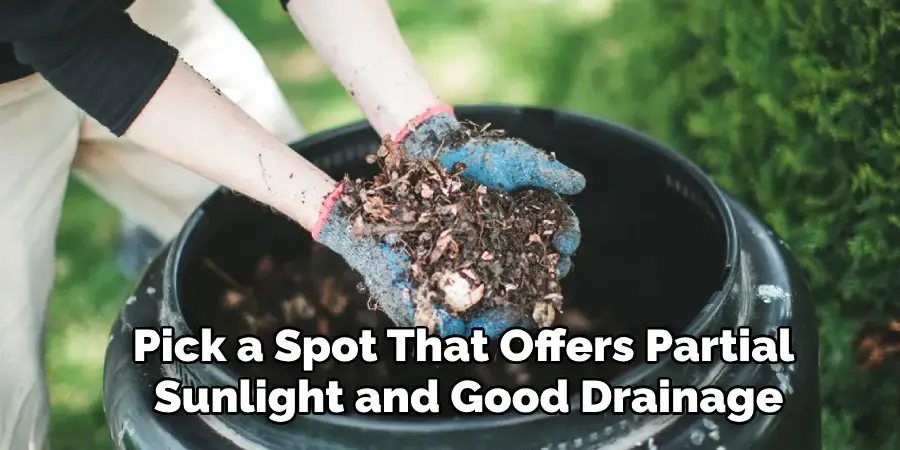 Pick a Spot That Offers Partial
 Sunlight and Good Drainage