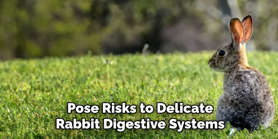 Pose Risks to Delicate
Rabbit Digestive Systems