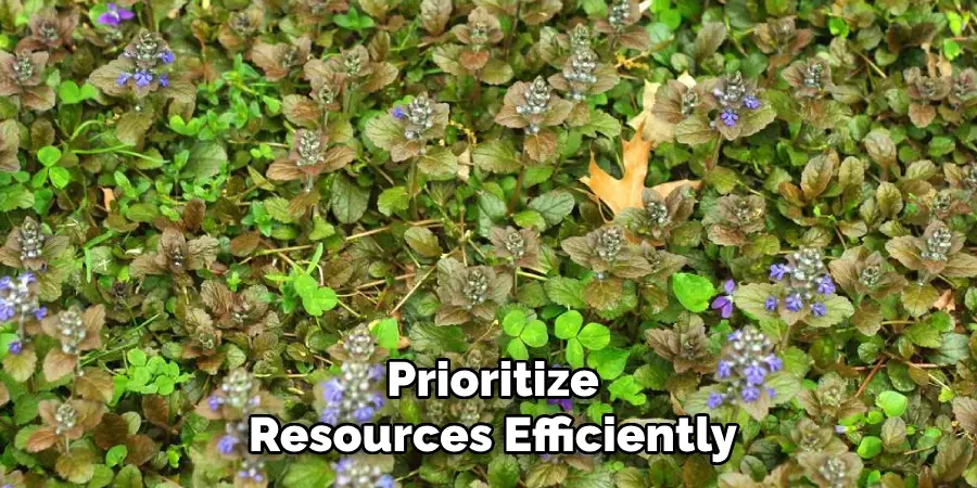 Prioritize
Resources Efficiently