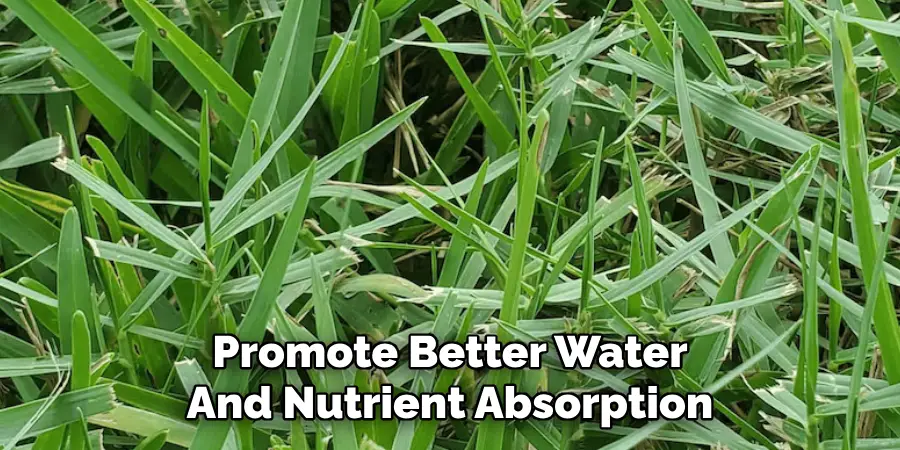 Promote Better Water
And Nutrient Absorption