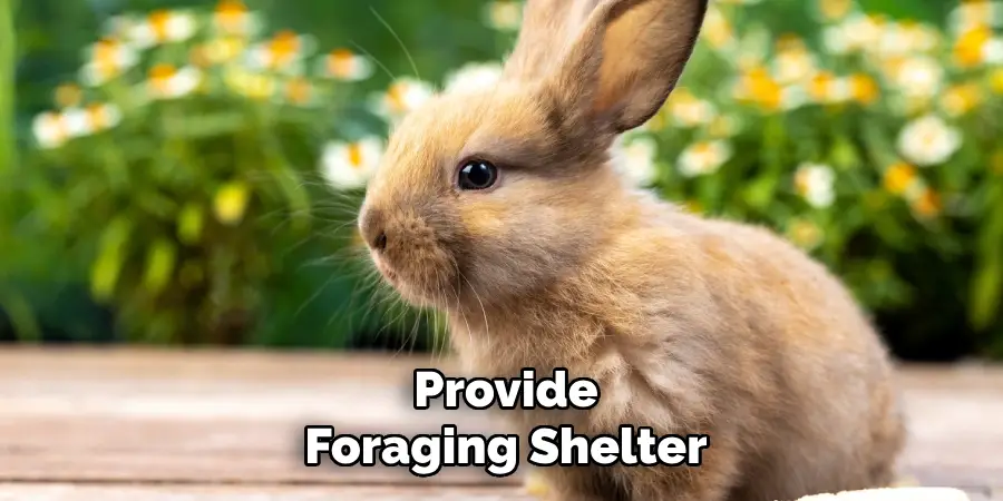 Provide
Foraging Shelter
