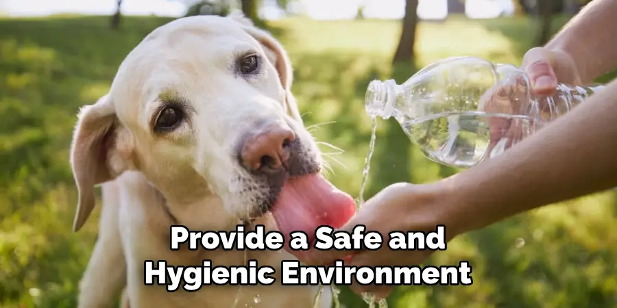 Provide a Safe and Hygienic Environment