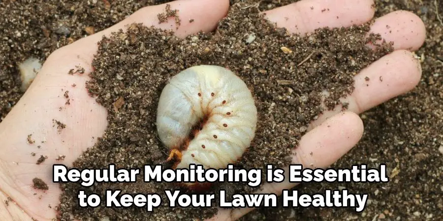 Regular Monitoring is Essential
 to Keep Your Lawn Healthy