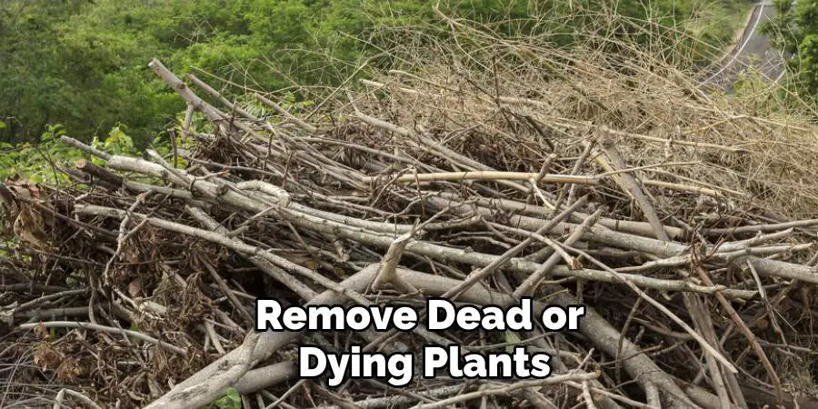 Remove Dead or
 Dying Plants