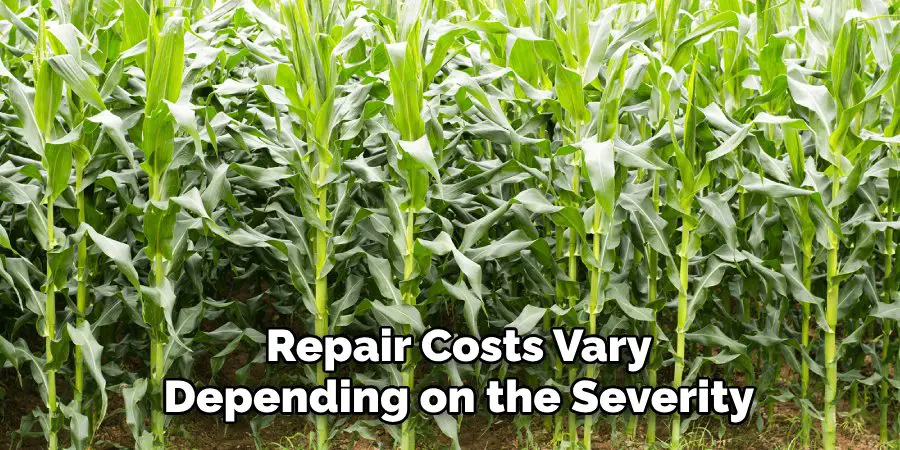 Repair Costs Vary 
Depending on the Severity 