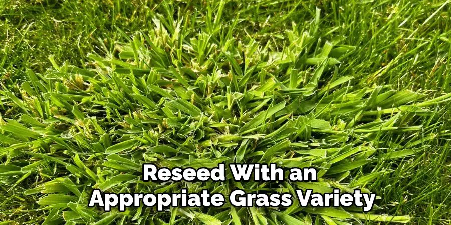 Reseed With an 
Appropriate Grass Variety