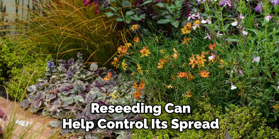 Reseeding Can
Help Control Its Spread