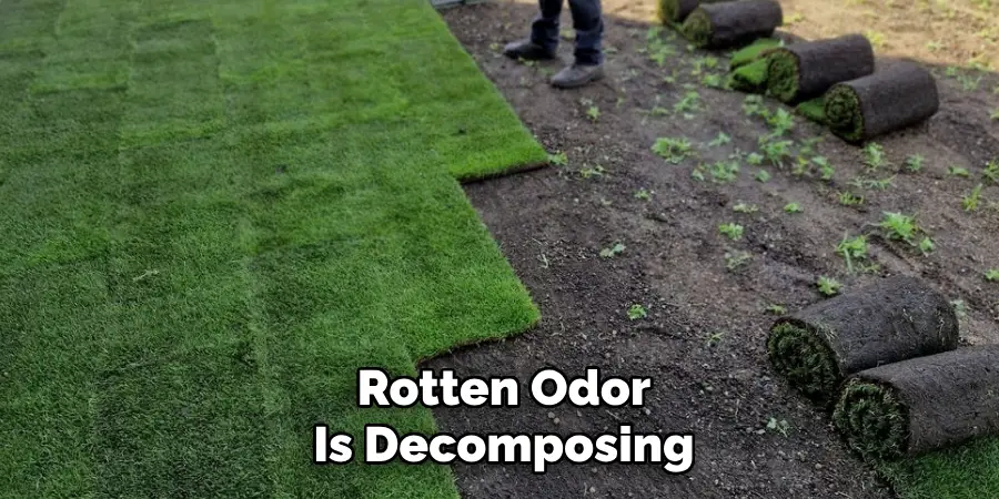 Rotten Odor
Is Decomposing