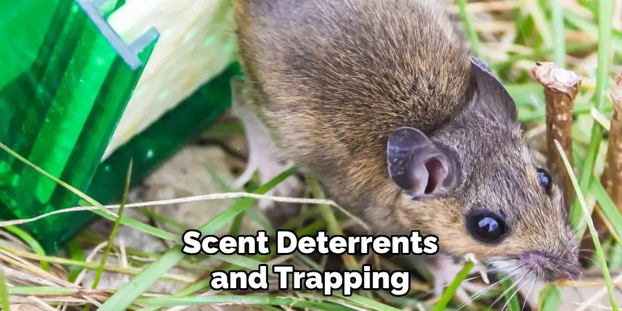 Scent Deterrents and Trapping