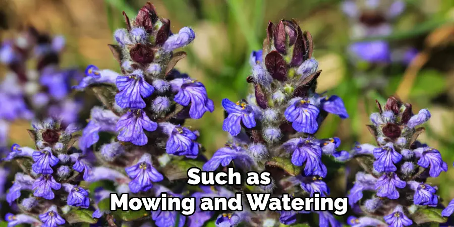 Such as
Mowing and Watering