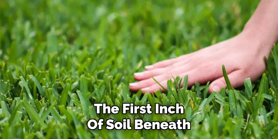 The First Inch
Of Soil Beneath