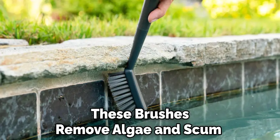 These Brushes
Remove Algae and Scum