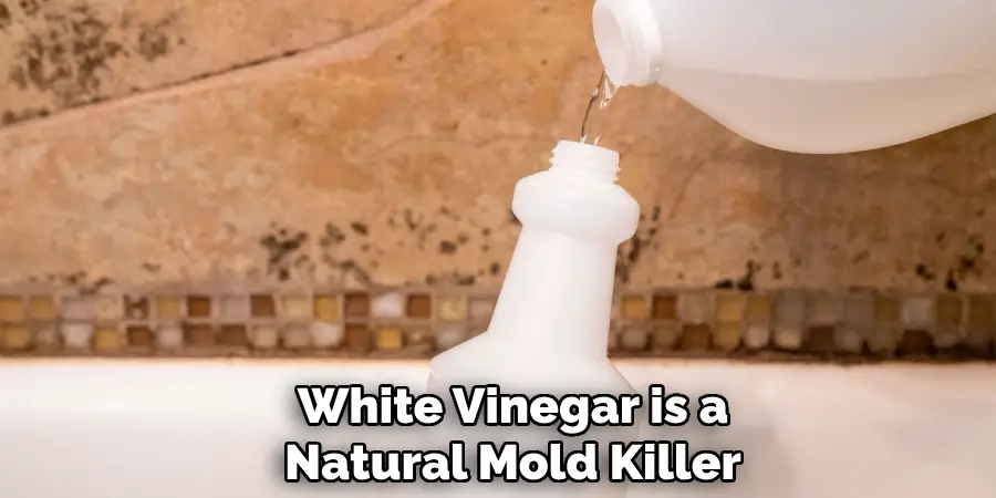 White Vinegar is a
Natural Mold Killer