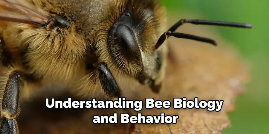 Understanding Bee Biology and Behavior