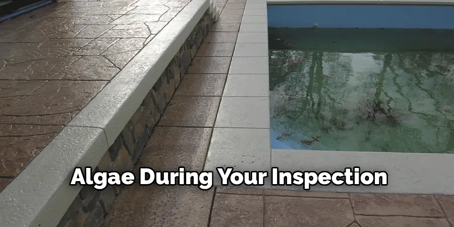 Algae During Your Inspection