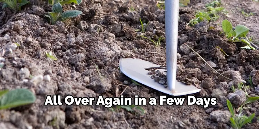 All Over Again in a Few Days