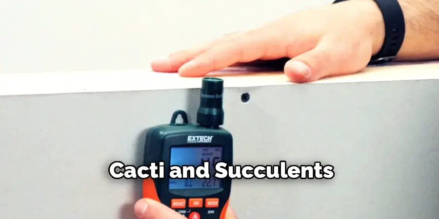 Cacti and Succulents