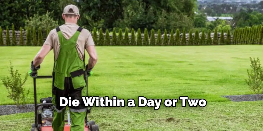 Die Within a Day or Two