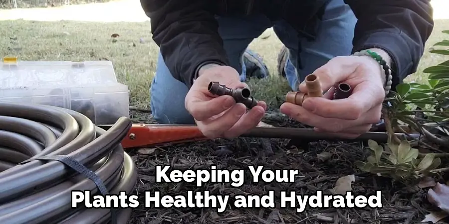 Keeping Your
Plants Healthy and Hydrated