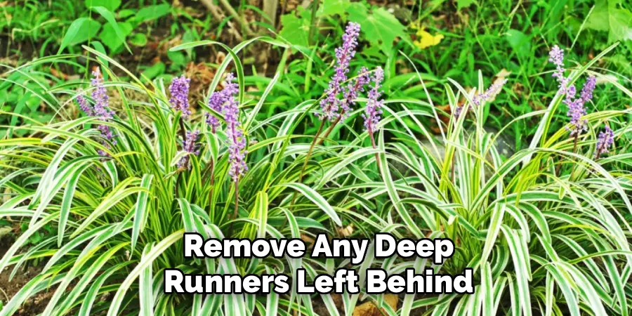 Remove Any Deep
Runners Left Behind
