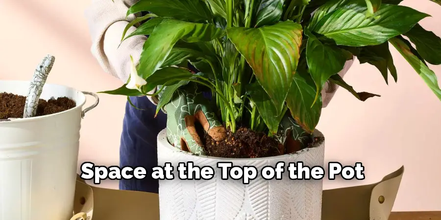 Space at the Top of the Pot