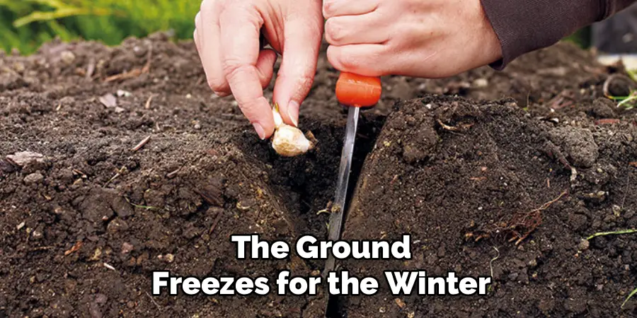 The Ground
Freezes for the Winter