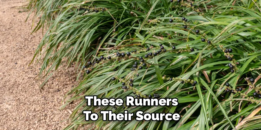 These Runners
To Their Source
