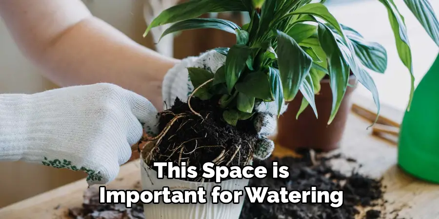 This Space is
Important for Watering