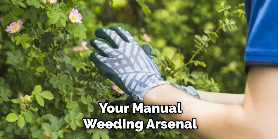Your Manual Weeding Arsenal