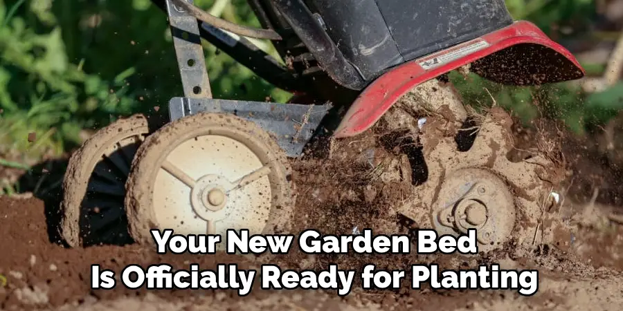 Your New Garden Bed
Is Officially Ready for Planting