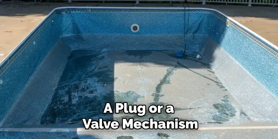 A Plug or a
Valve Mechanism