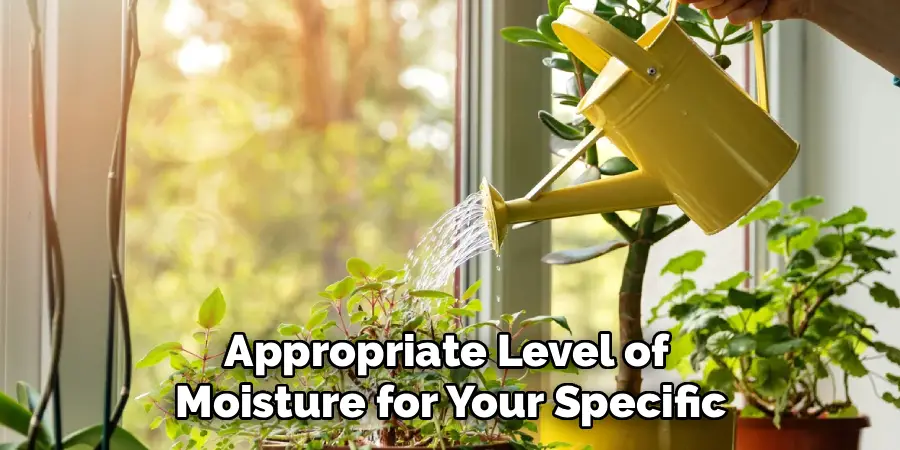 Appropriate Level of
Moisture for Your Specific