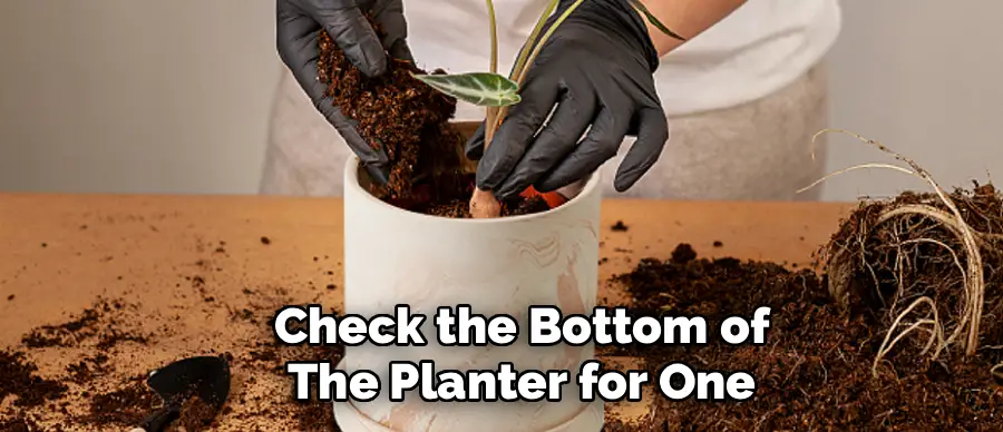 Check the Bottom of
The Planter for One