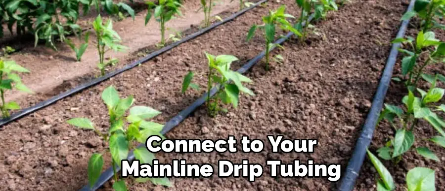 Connect to Your
Mainline Drip Tubing