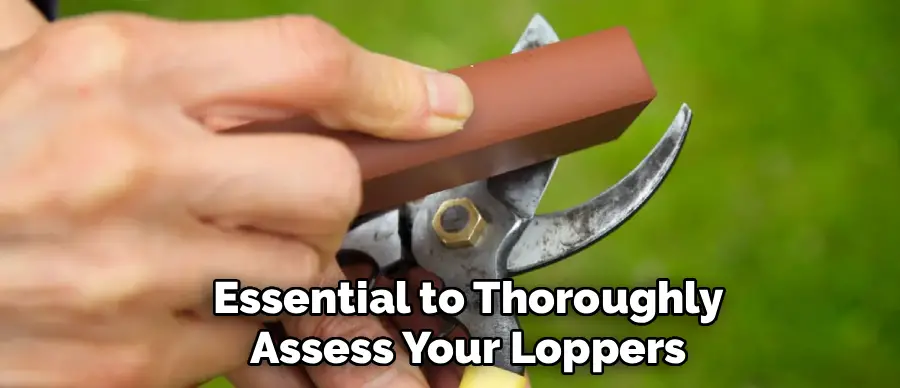 Essential to Thoroughly
Assess Your Loppers