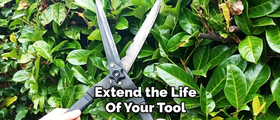 Extend the Life
Of Your Tool