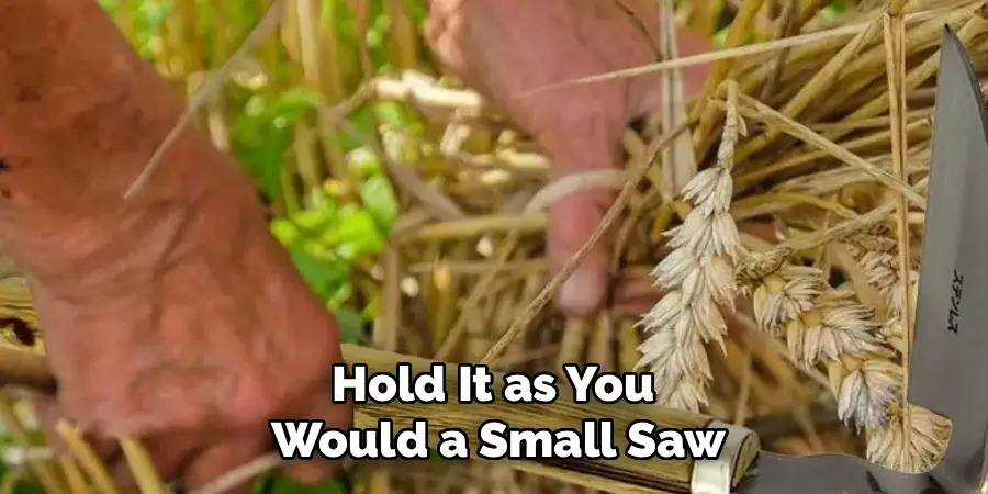 Hold It as You
Would a Small Saw