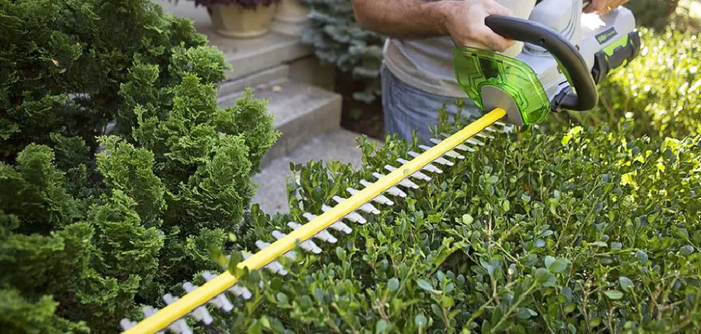 How to Start Gas Powered Hedge Trimmers