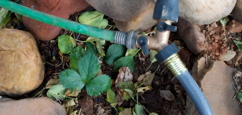 How to Use Soaker Hose in Raised Beds