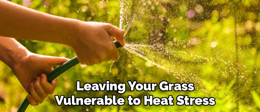 Leaving Your Grass
Vulnerable to Heat Stress