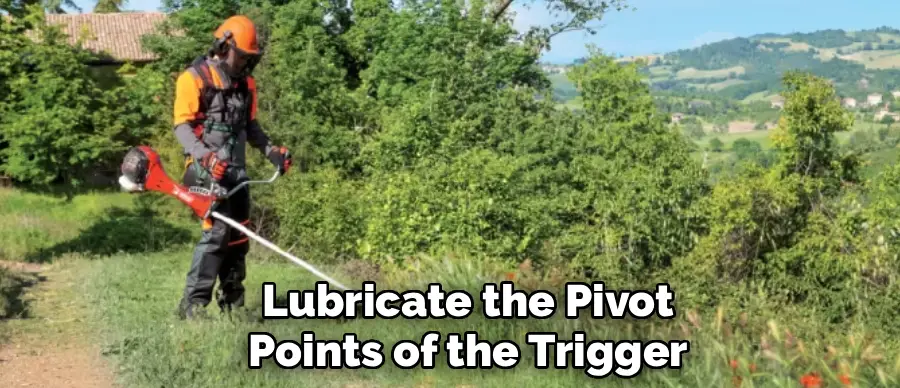 Lubricate the Pivot
Points of the Trigger