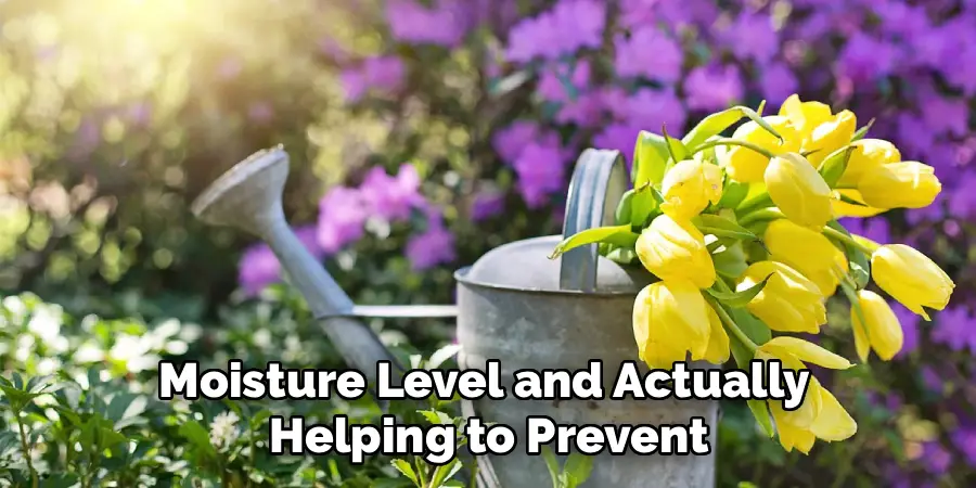 Moisture Level and Actually
Helping to Prevent